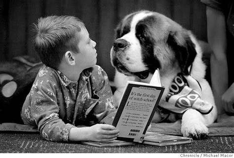 Congratulations to the 905 schools and 318 centres who took part in the 2020 challenge, combining more than 161,000 queensland children and. Lending an ear: Kids reading to dogs is adorable and a ...