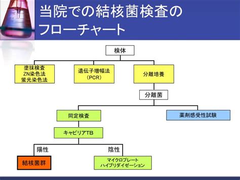 Maybe you would like to learn more about one of these? 肺結核について｜JR東海 名古屋セントラル病院