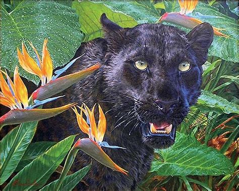 Black Leopard Art Collection