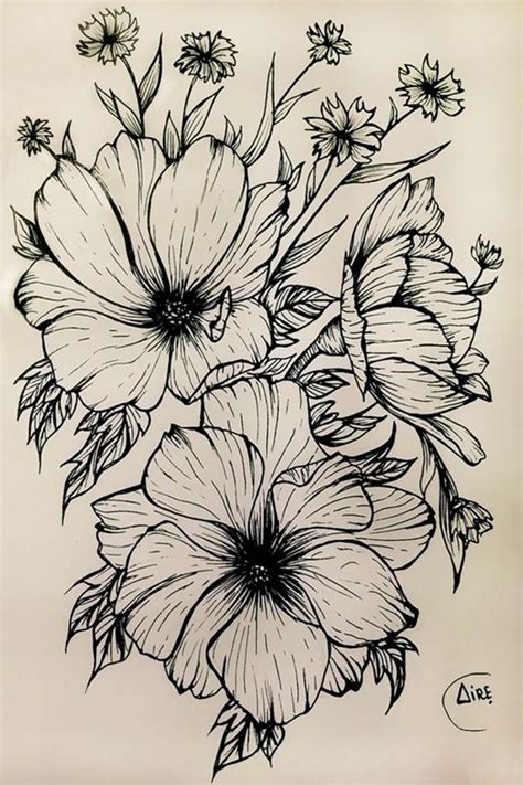 50 Easy Flower Pencil Drawings For Inspiration