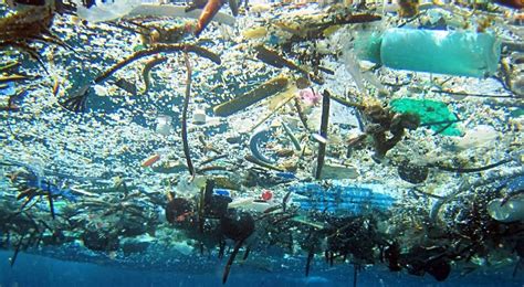 Semalam, disebabkan pencemaran udara, pendidikan di 553 sekolah di seluruh negara tidak boleh dilakukan. Daur Ulang Sampah Tidak Cukup Melindungi Laut dari ...