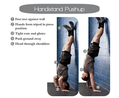 Handstand Push Up Muscles