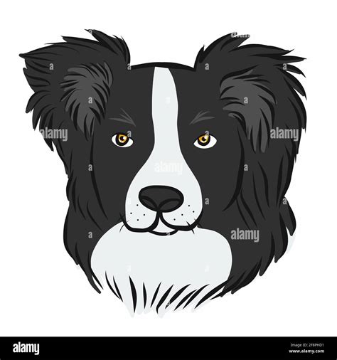 Border Collie Dog Face Cartoon Vector Illustration Stock Vector Image