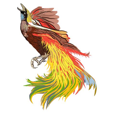 Phoenix Bird Images Png Vector Psd And Clipart With Transparent