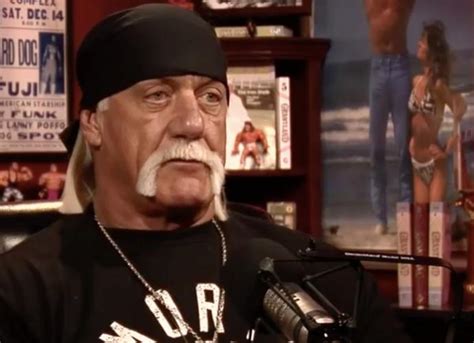 Wwe Fires Hulk Hogan For Reported Use Of N Word In Sex Tape Uinterview