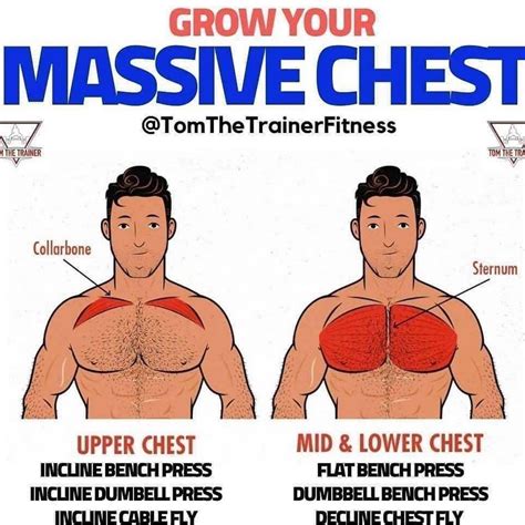 Build A Colossal Chest With This 3 Exercise Workout That Takes Under 10