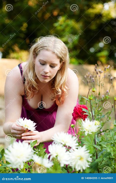 Woman Working In The Garden With Flowers Royalty Free Stock Photo Image
