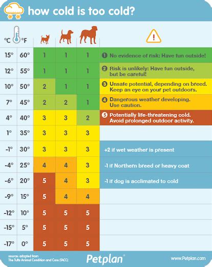 When Is It Too Cold To Walk Your Dog Outside This Handy Chart Shows
