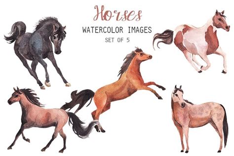 Watercolor Horses Clipart In 2020 Watercolor Horse Clip Art Horses