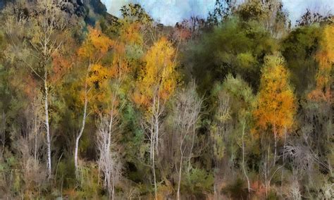 Kinton had stepped forward six or eight paces, irritated despite his anxiety at the way birken persisted in drifting before him. Birken Foto & Bild | landschaft, jahreszeiten, münchen ...
