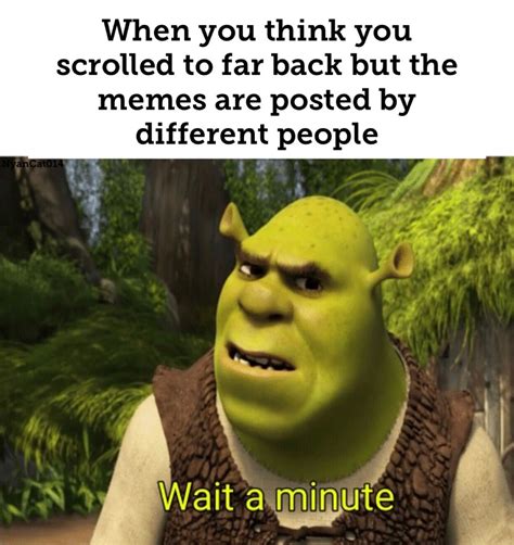 Shrek Meme 2020 For Five Minutes Bhe