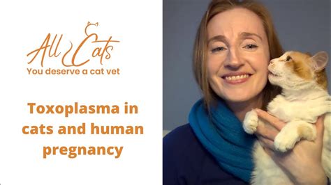 Toxoplasmosis In Cats And Human Pregnancy