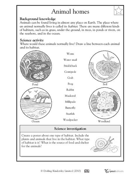 Animal Habitats Worksheet For 3rd 4th Grade Lesson Planet