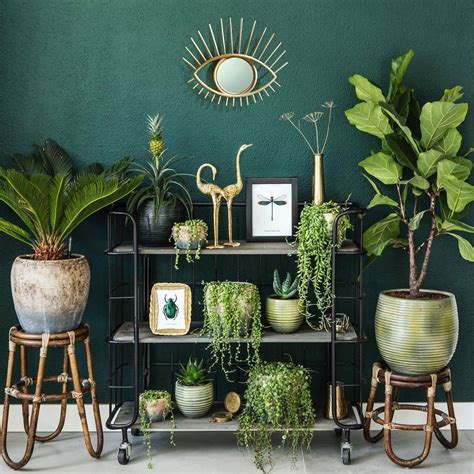 Pin By Madz On Houseplant Madness Green Walls Living Room Botanical