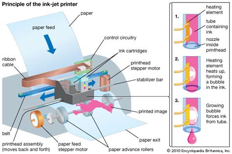 Printer Fuji Xerox P115w Bengkelprinter Bengkelprinter