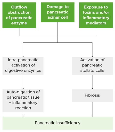 Chronic Pancreatitis Concise Medical Knowledge