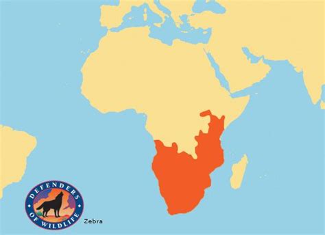 There is no trace of them in wetlands, rainforests, and deserts. Zebra distribution map | Animal Species Distribution Maps ...