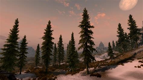 Guideskyrim Tree Settings Step Project Wiki