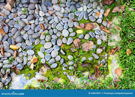 Ground With Grass And Rock Stock Image Image Of Backgrounds 40823857