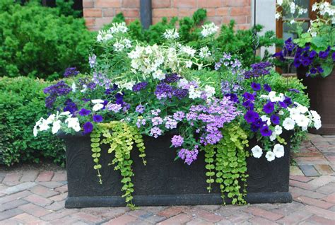 15 most beautiful container gardening flowers ideas for your home front porch container