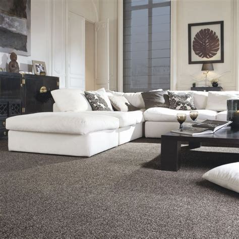 Luxury Carpet Ideas For Living Room Awesome Decors