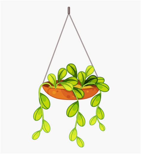 Hanging Flower 5 Potted Plants Vector Free Transparent Clipart