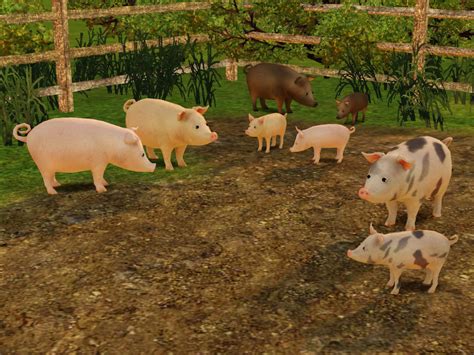 4to3 Conversion Pigs By Soloriyai Really Love This New Set By