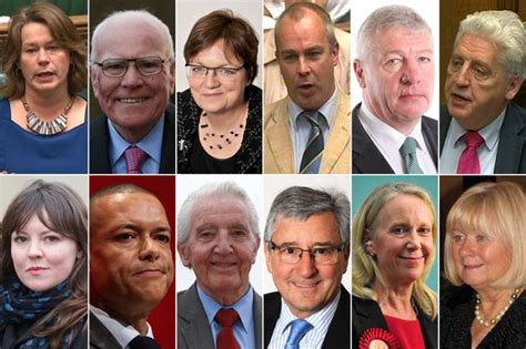 All The Mps Standing Down Before The 2017 General Election And Why Theyve Quit Mirror Online