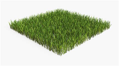 Grass Lawn 3d Model Turbosquid 1574913