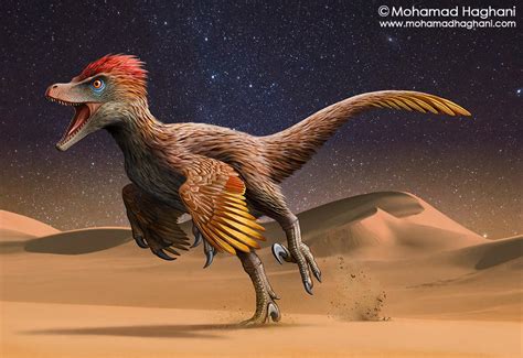 Velociraptor By Haghani On Deviantart
