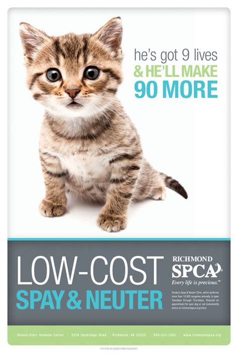 They aren't going to do it themselves. Share these images to capture attention for spay/neuter ...
