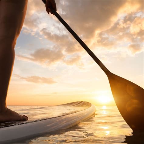 Top Health Benefits of Stand Up Paddleboarding | Coastal Expeditions Blog