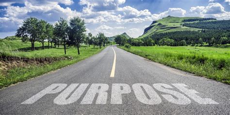 How to Find Your Purpose in Life: 10 Online Tests Worth Taking