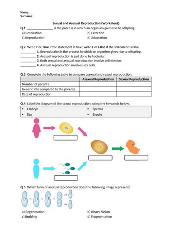 Sexual And Asexual Reproduction Worksheet Printable And Distance Riset