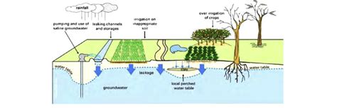 Causes Of Irrigation Salinity Slinger And Tenison 2007 Download