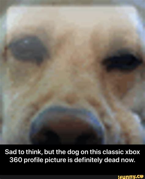 Meme Pfp Xbox The Best Xbox One Memes Memedroid Xbox
