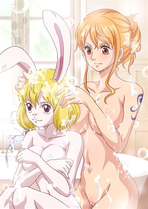 Rule 34 2girls Bath Carrot One Piece Nami Nude One Piece Raida