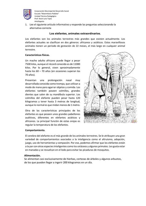 Ejercicio De Articulo Informativo El Elefante