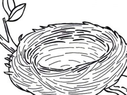 Let's say you're walking along in the woods and you spot a beautiful little bird nest up in a tree. The best free Nest coloring page images. Download from 135 ...