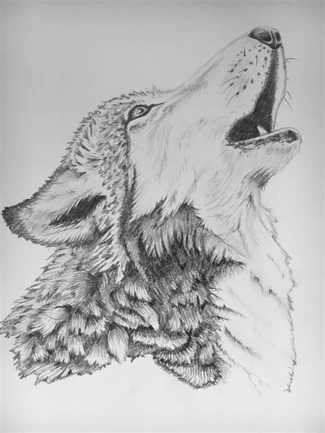 Howling Wolf Charcoal Pencil
