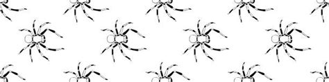 21600 Spider Drawing Stock Photos Pictures And Royalty Free Images