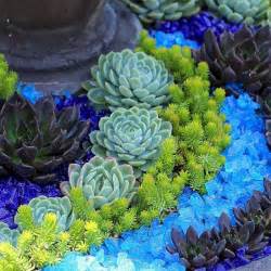 Awesome Container Garden With Succulents 45 Best Design