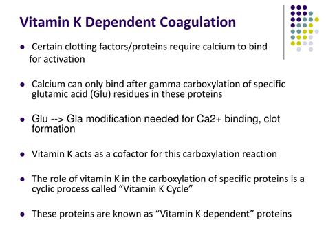 Ppt Vitamin K And Coagulation Powerpoint Presentation Free Download