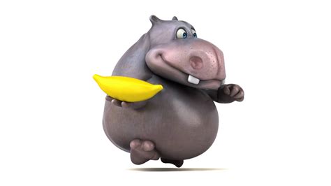 Fun Hippo Running 3d Animation Stock Footage Sbv 313580694 Storyblocks