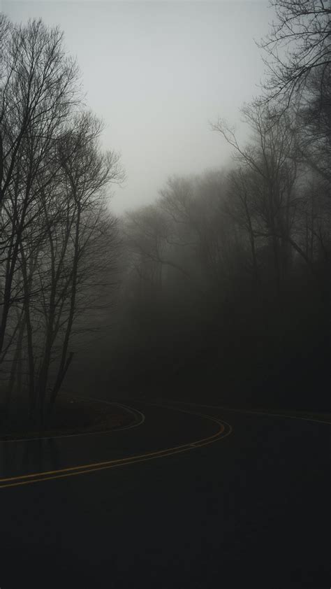 Download Wallpaper 1350x2400 Road Turn Fog Haze Dusk Iphone 87