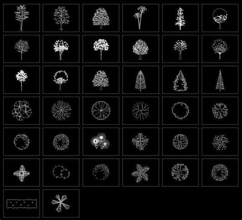 Pin En Arboles Dibujos Bloques Autocad