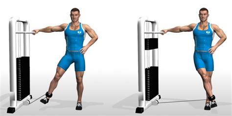 Cable Hip Adduction • Bodybuilding Wizard