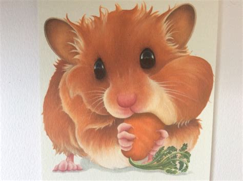 Kết Quả Hình ảnh Cho Hamster Painting Хомяки Рисунки Иллюстрации