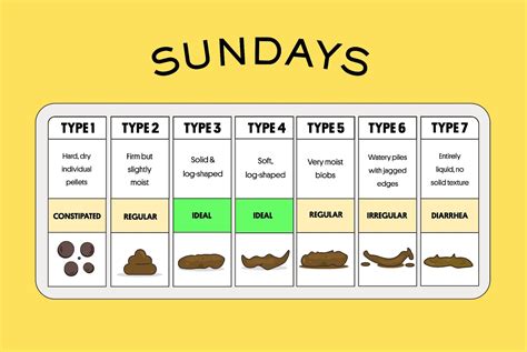 What Should My Dogs Poop Look Like Sundays For Dogs