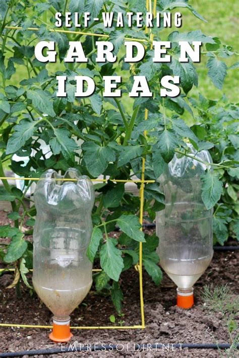 Practical Self Watering Garden Ideas Empress Of Dirt